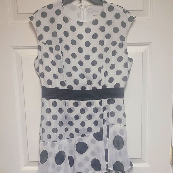 Polka Dot Dress - Picture 1 of 3